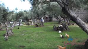 Aubry Babcock Norcal Part 7