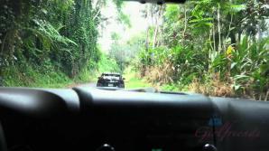 On a rainy day Zoe gets a facial in the car.